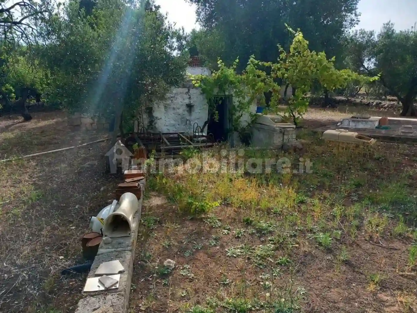 Rustico - Casale - foto 3