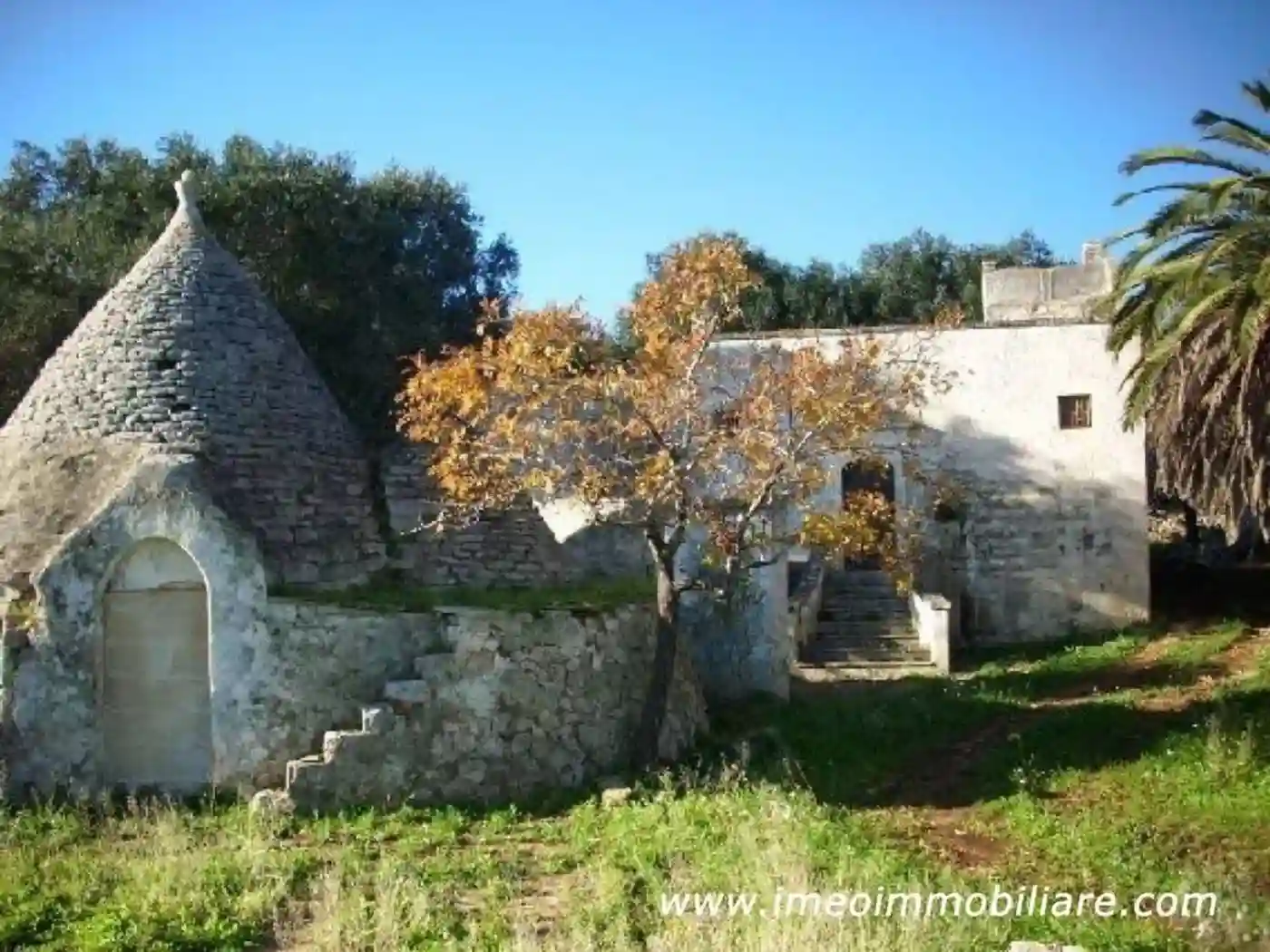 Rustico - Casale - foto 4