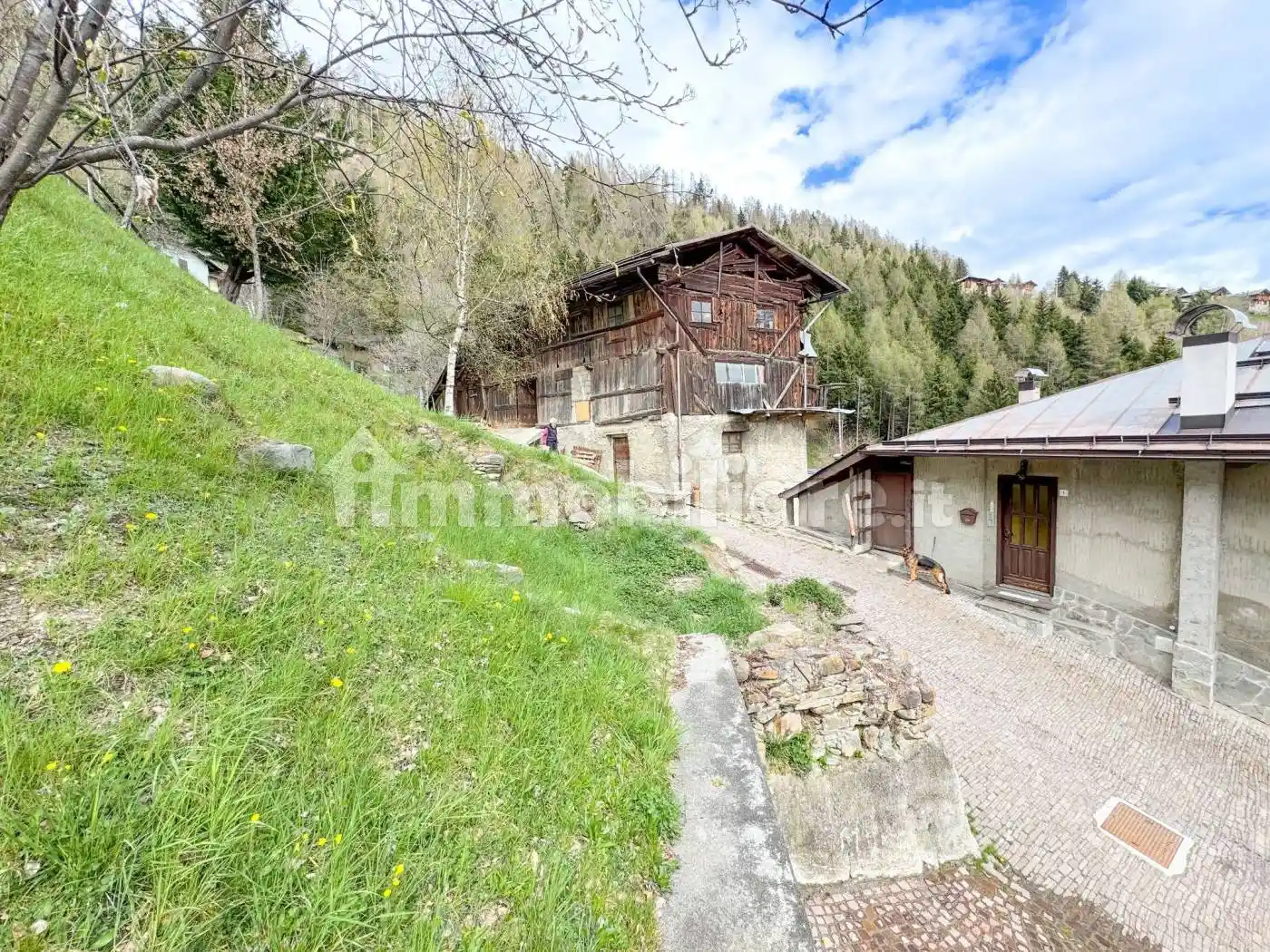 Rustico - Casale - foto 4