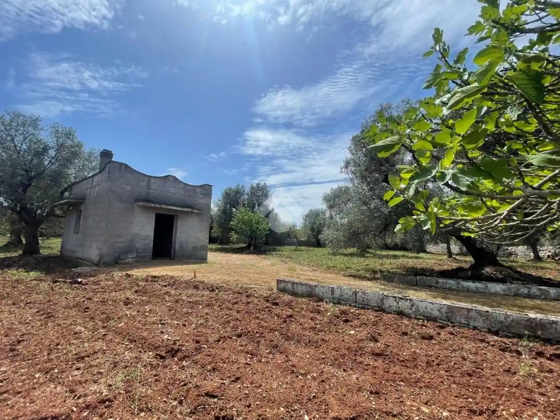 Rustico - Casale in vendita a Ceglie Messapica