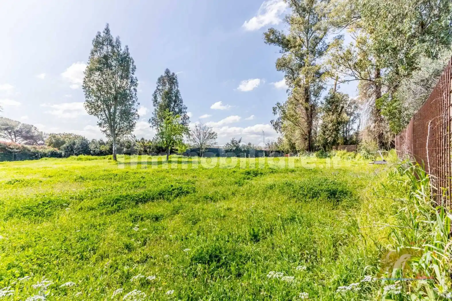 Villa unifamiliare via di Tor Carbone 74, Torricola - Tor Carbone, Roma - foto 5