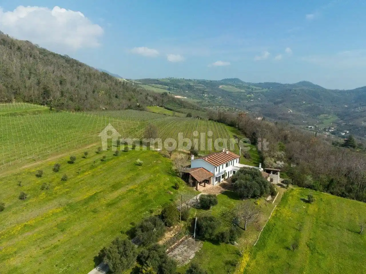 Rustico - Casale in vendita a Baone