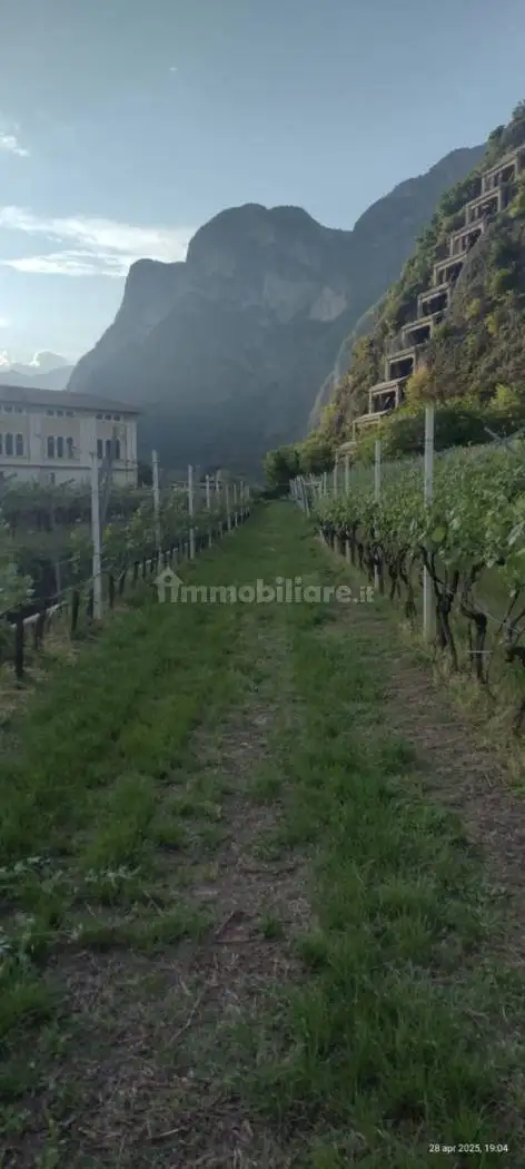 Rustico - Casale in vendita a Mezzocorona