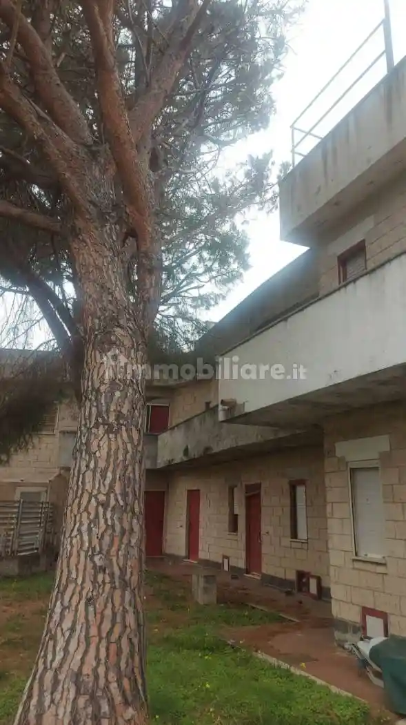 Trilocale da ristrutturare, primo piano, San Nicola Arcella - foto 2