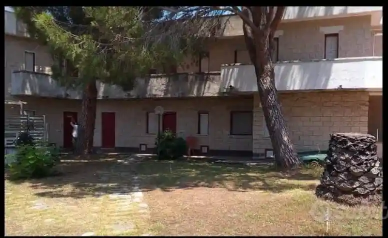 Trilocale da ristrutturare, primo piano, San Nicola Arcella - foto 5