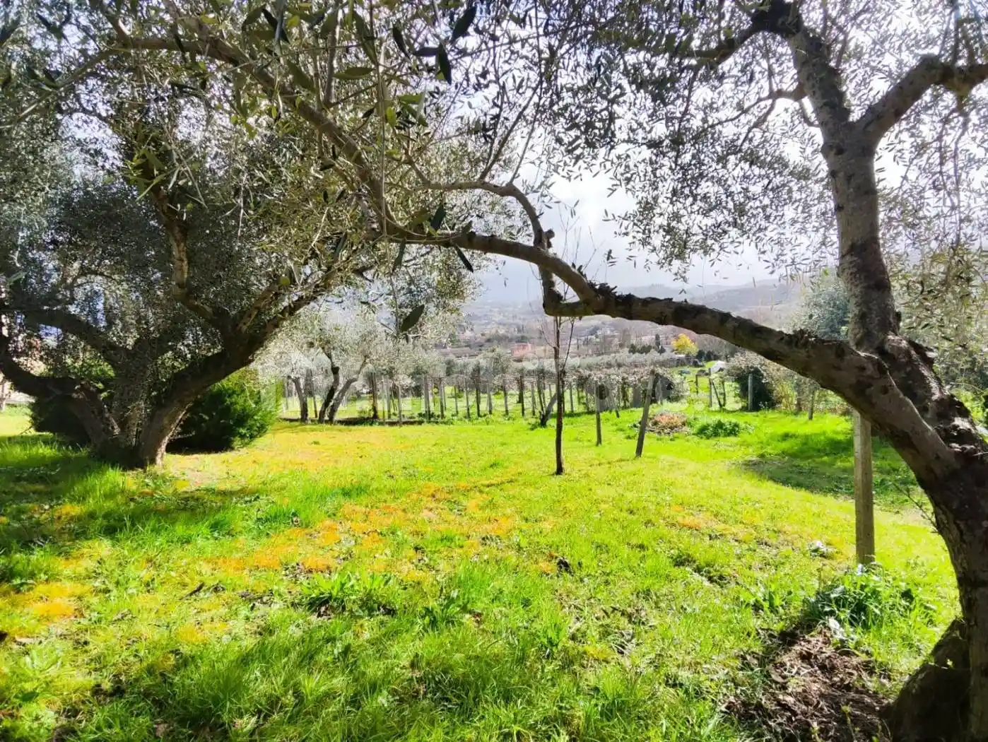 Villa in vendita a Palombara Sabina
