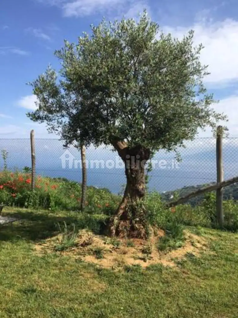 Villa in vendita a Sorrento