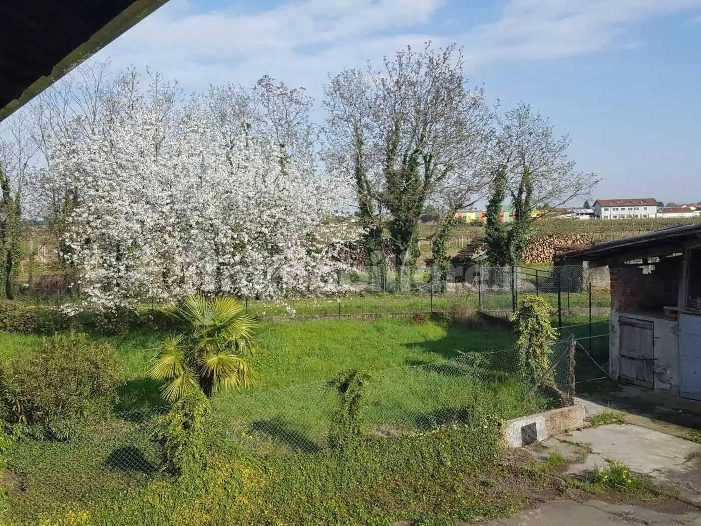 Casale via Moncrivello 22, Cigliano - foto 4