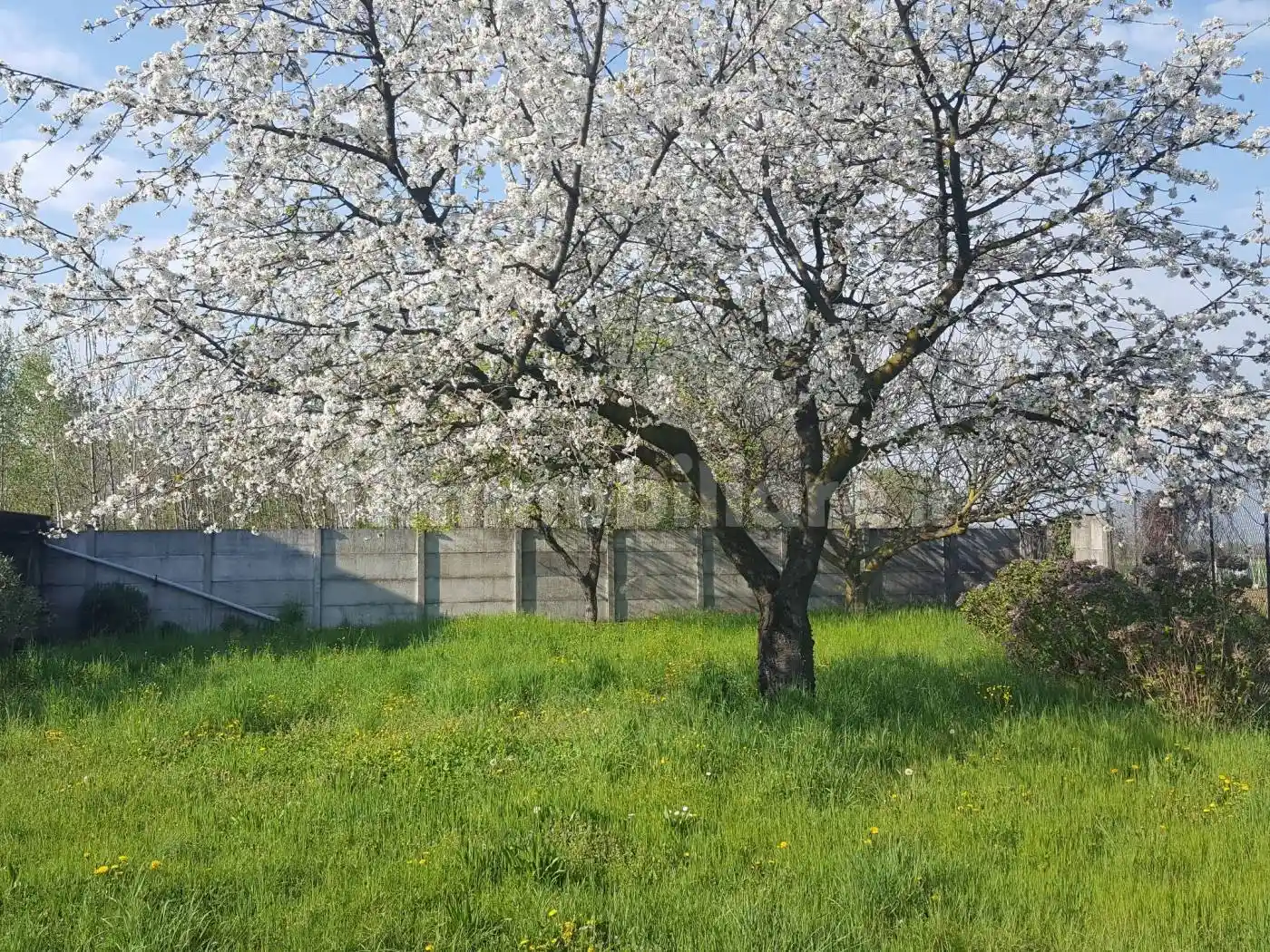 Casale via Moncrivello 22, Cigliano - foto 5