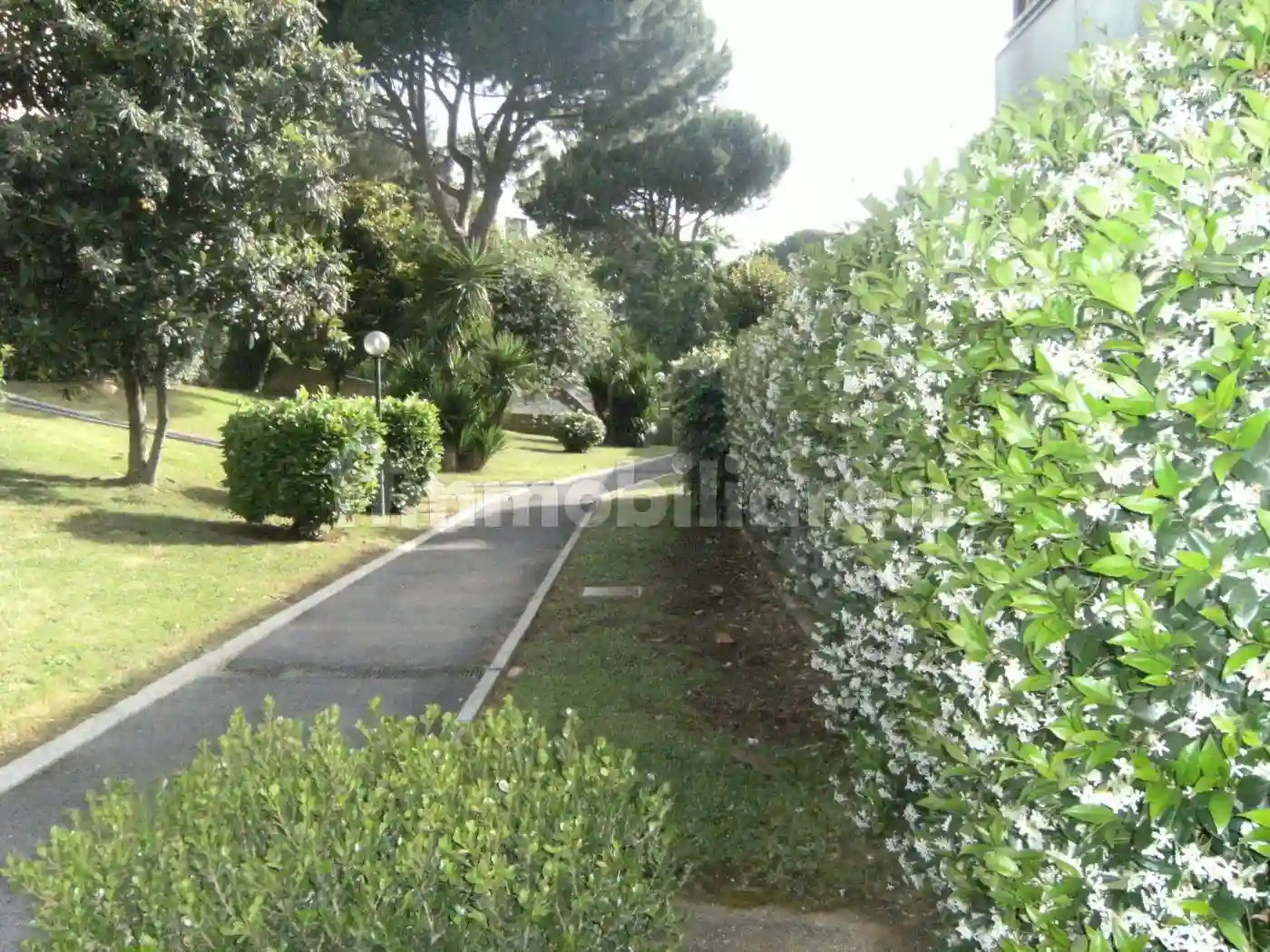 Trilocale via Rubra 256, Labaro, Roma - foto 4