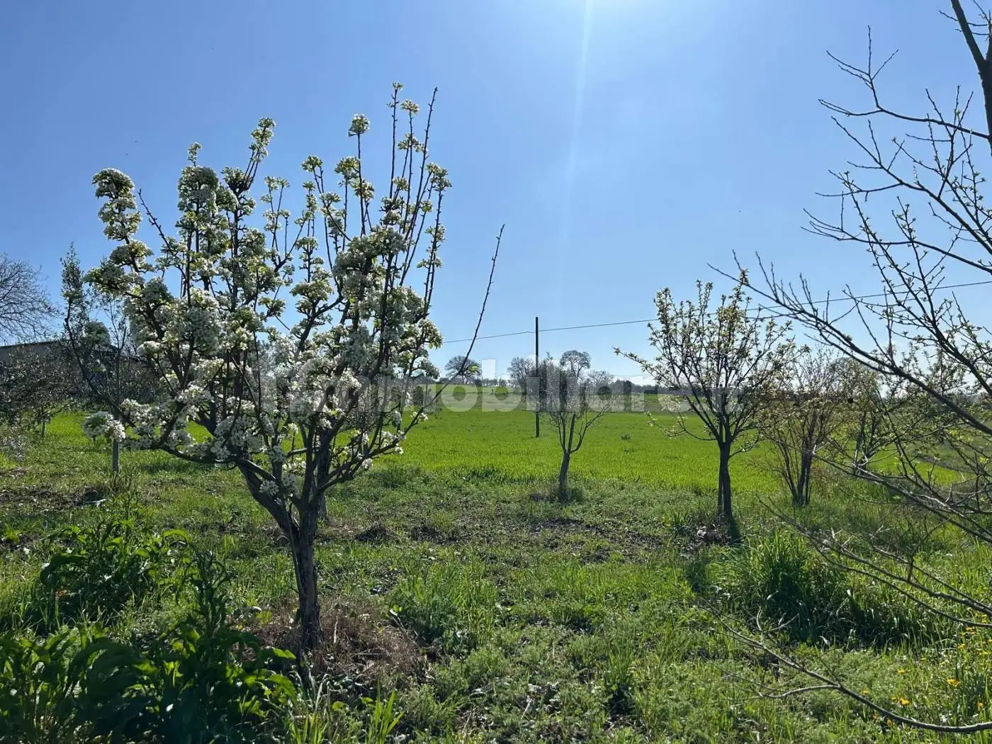 Villa in vendita a Bonito