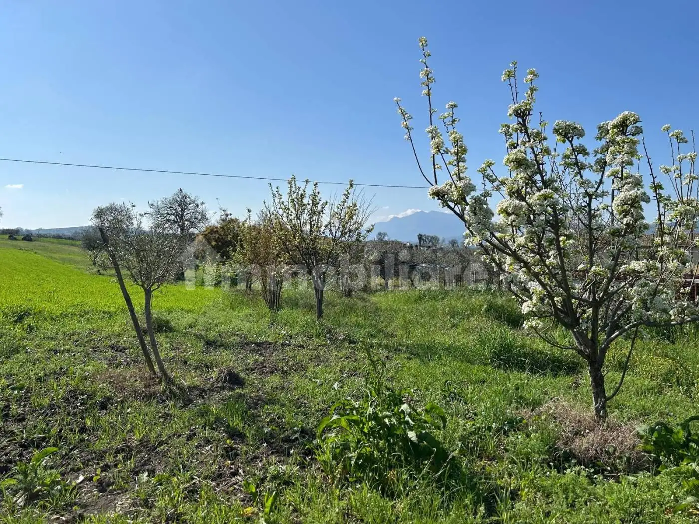 Villa unifamiliare, da ristrutturare, 130 m², Bonito - foto 4