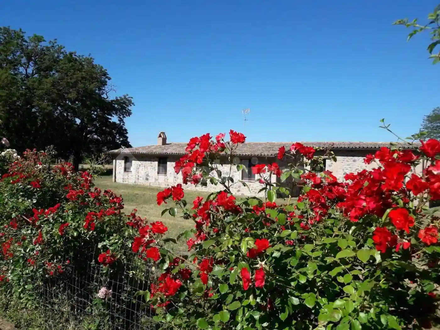 Villa bifamiliare Sp47, Castel Giorgio - foto 4