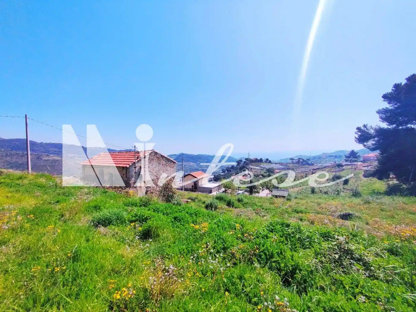 Rustico Sp55 307, Poggio, Sanremo - foto 2