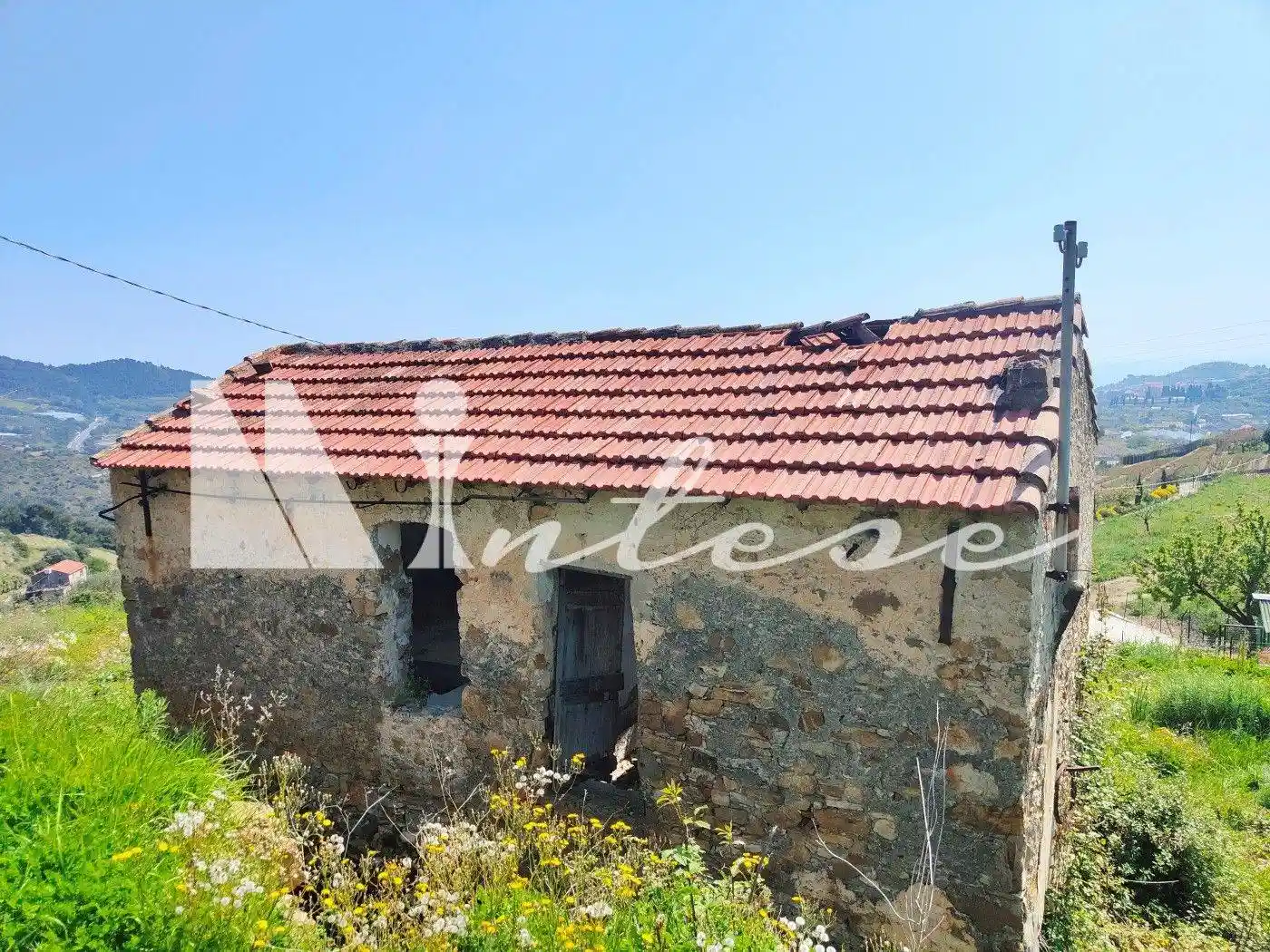 Rustico Sp55 307, Poggio, Sanremo - foto 3