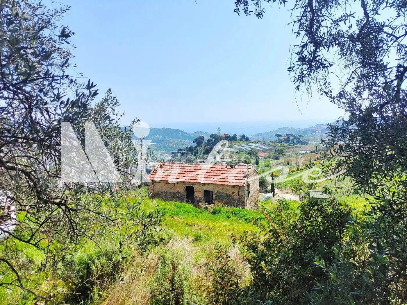 Rustico Sp55 307, Poggio, Sanremo - foto 4