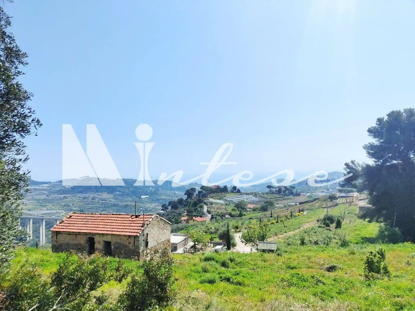 Rustico Sp55 307, Poggio, Sanremo - foto 5