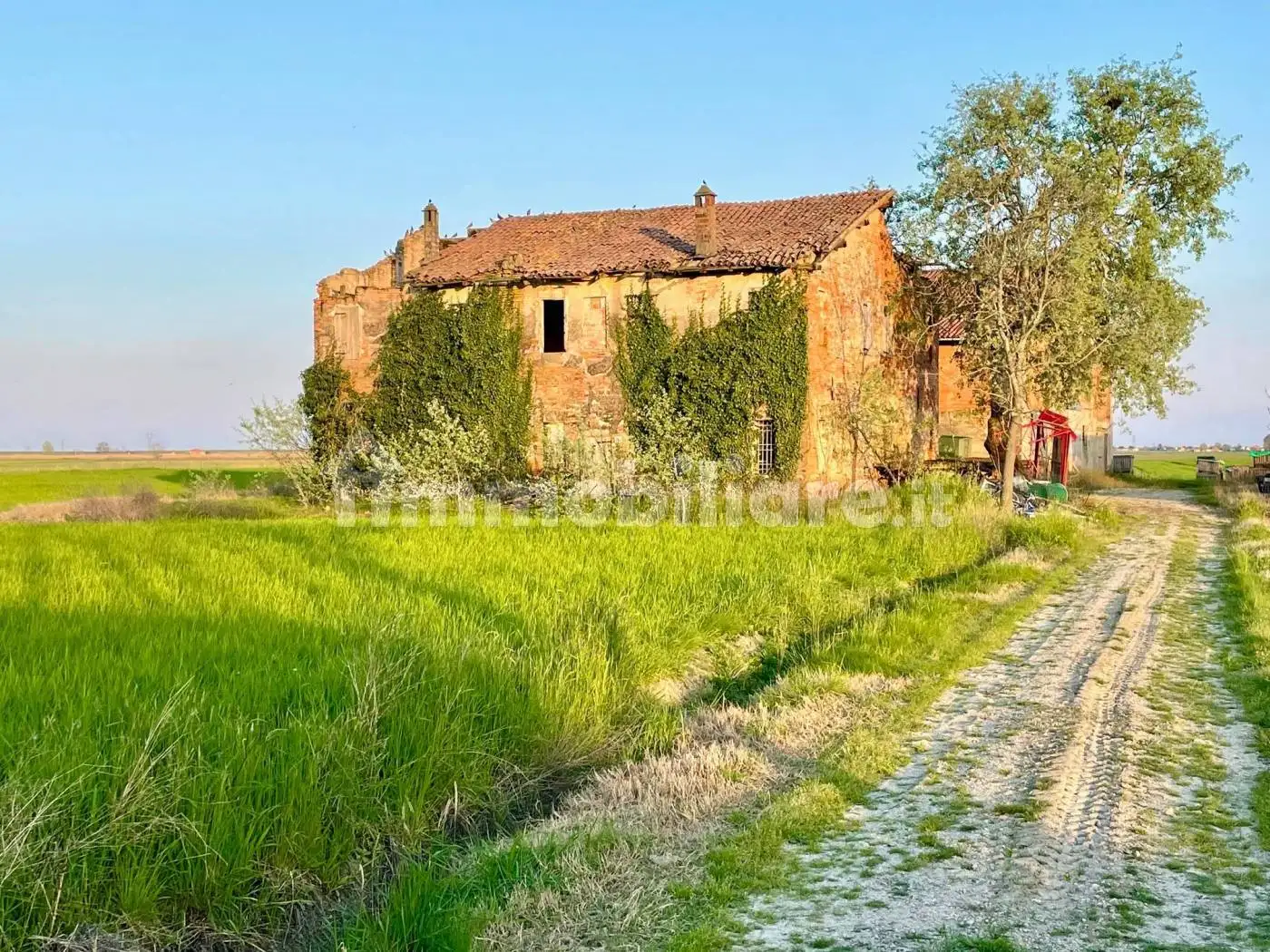 Rustico - Casale in vendita a Medicina