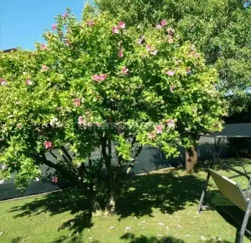 Rustico - Casale in vendita a Sarzana