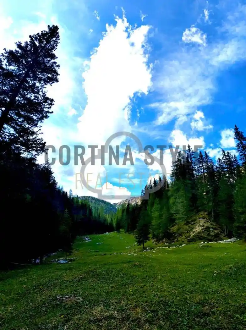 Appartamento in vendita a Cortina d'Ampezzo