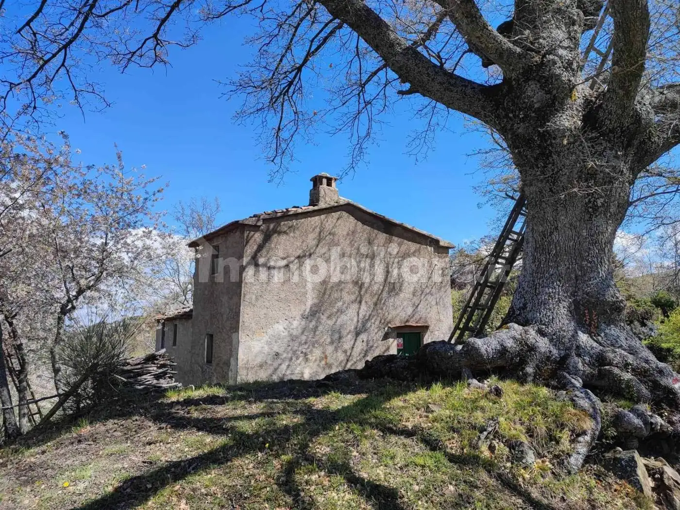 Rustico - Casale in vendita a Seggiano