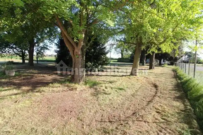 Rustico Carrarone Chiesa, Mezzano - Borgo Masotti, Ravenna - foto 2