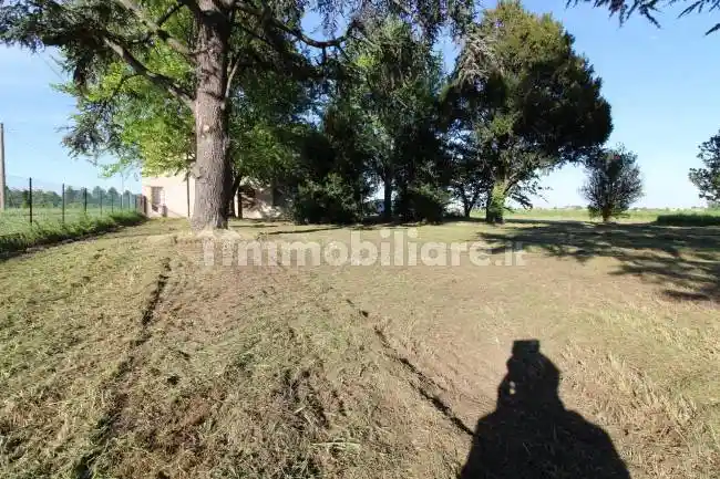 Rustico Carrarone Chiesa, Mezzano - Borgo Masotti, Ravenna - foto 4