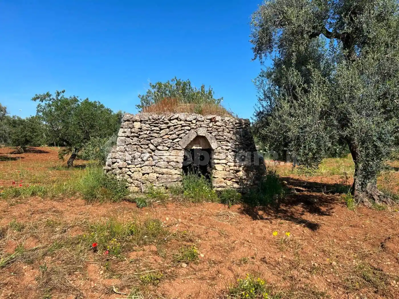 Rustico - Casale in vendita a Grottaglie