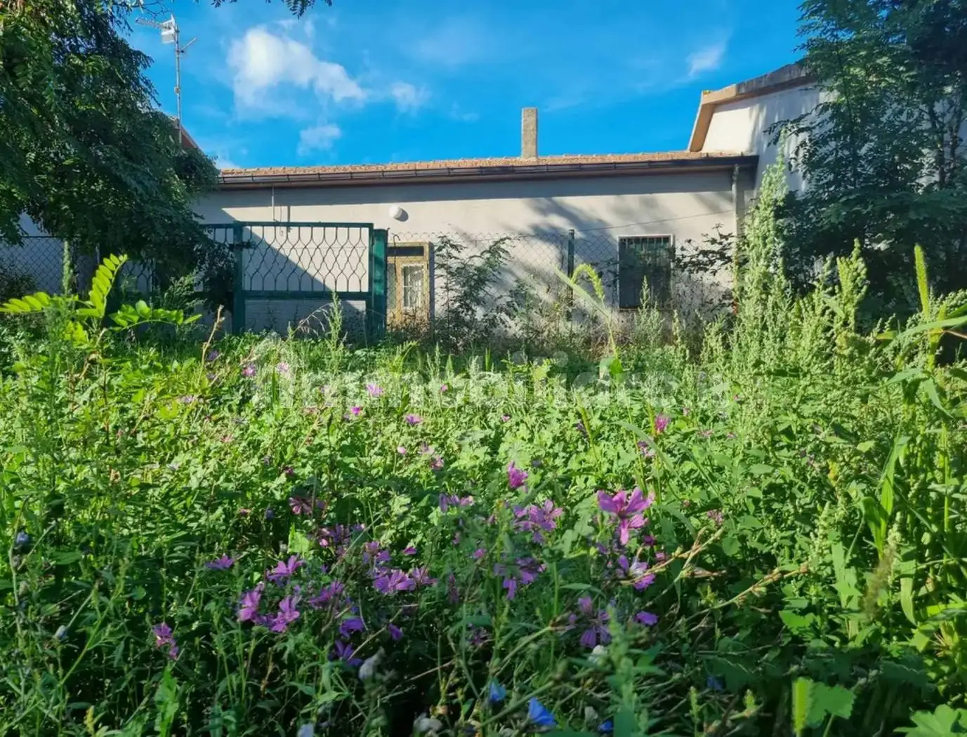 Rustico - Casale in vendita a Rionero in Vulture