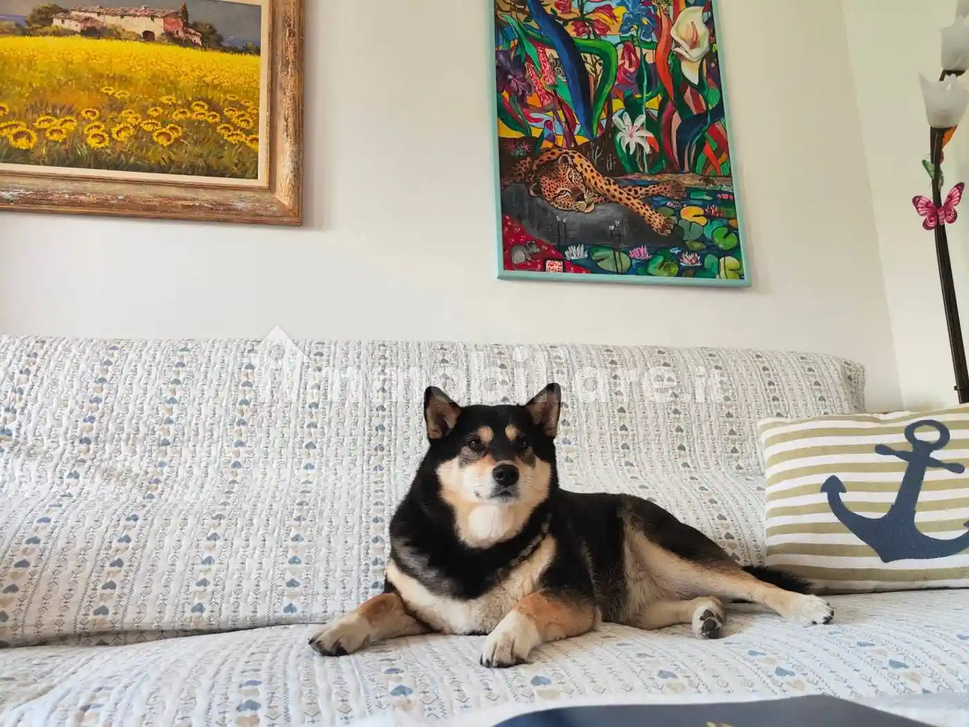 Appartamento in vendita a Sanremo