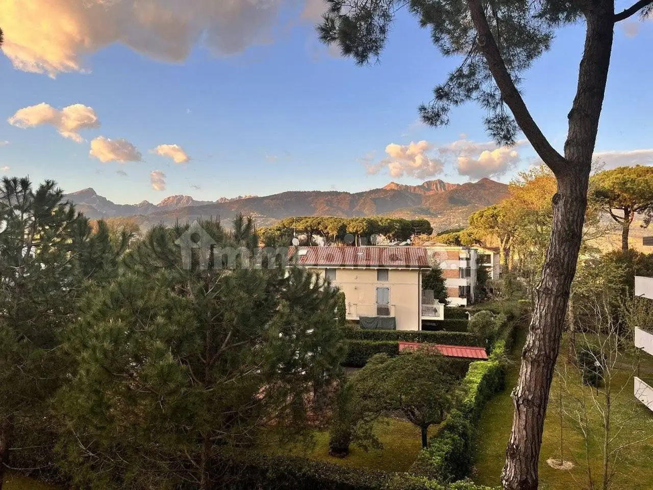 Appartamento via Don Bardini 23, Cinquale, Montignoso - foto 3