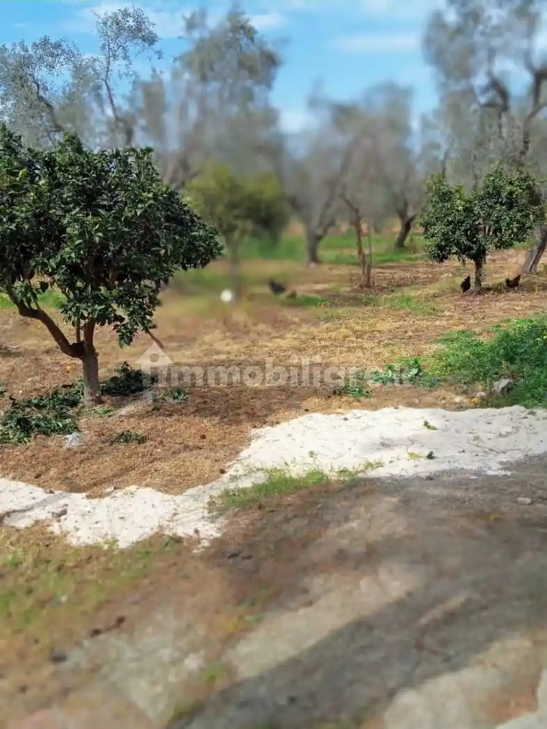 Villa in vendita a Ischitella