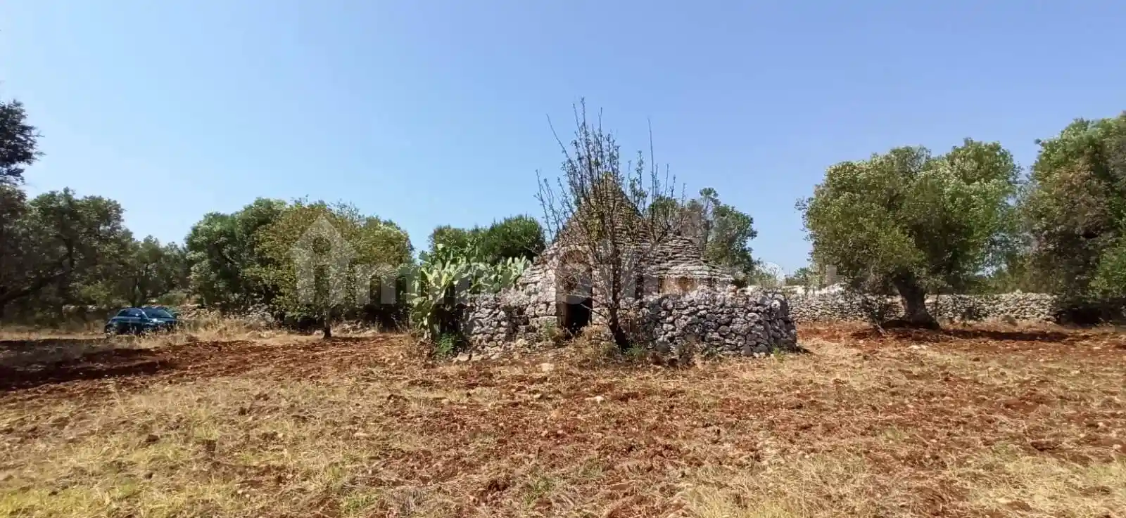 Rustico - Casale in vendita a Ceglie Messapica