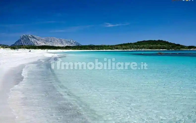 Appartamento in vendita a San Teodoro