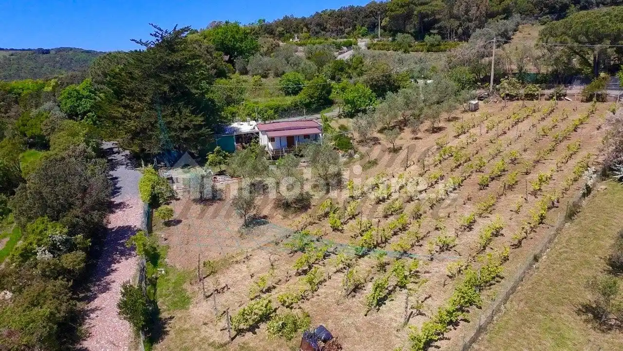 Villa in vendita a Rosignano Marittimo