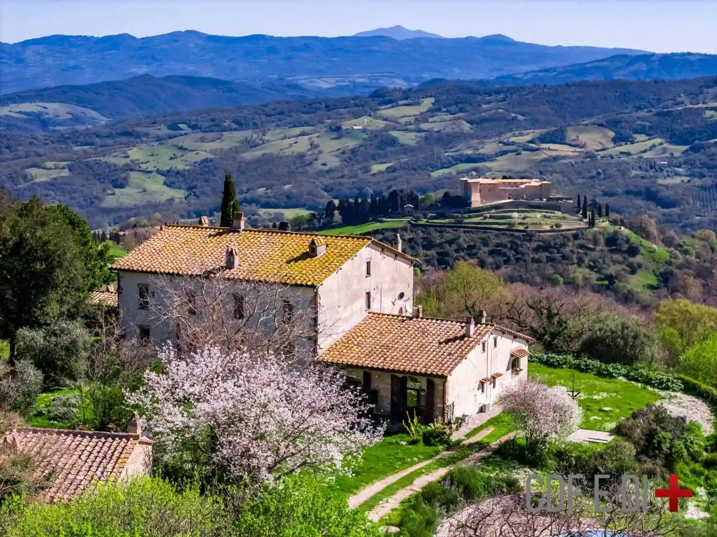 Rustico - Casale in vendita a Scansano