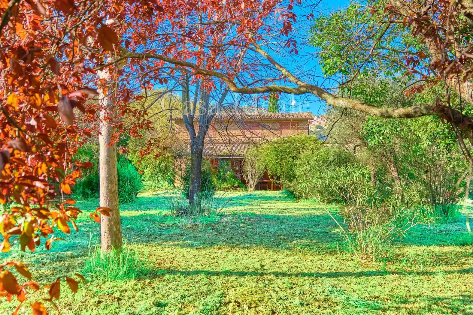 Rustico - Casale - foto 3