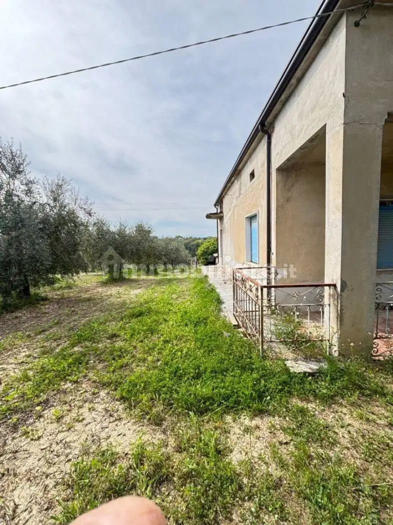 Terratetto plurifamiliare 7300 m², da ristrutturare, Centro, Crecchio - foto 5