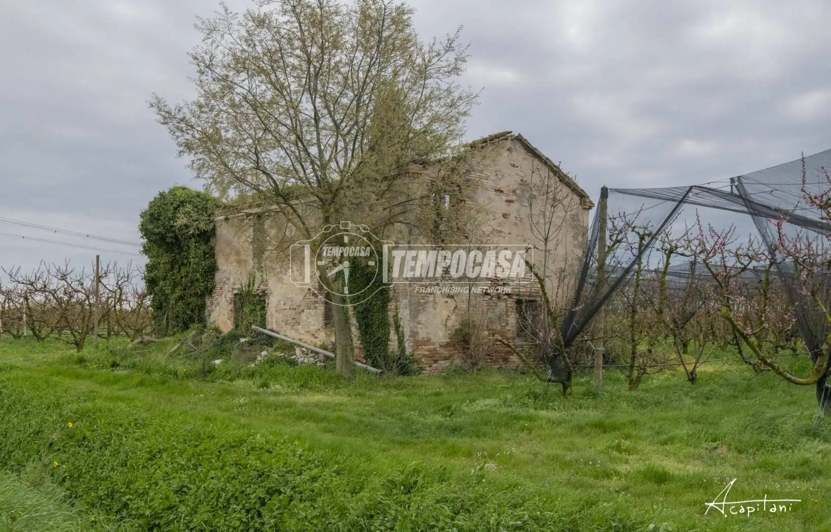 Rustico - Casale in vendita a Cesena