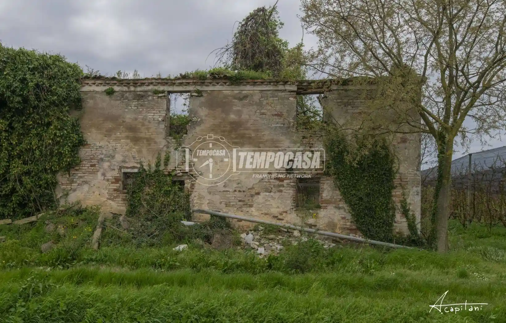 Rustico - Casale - foto 2