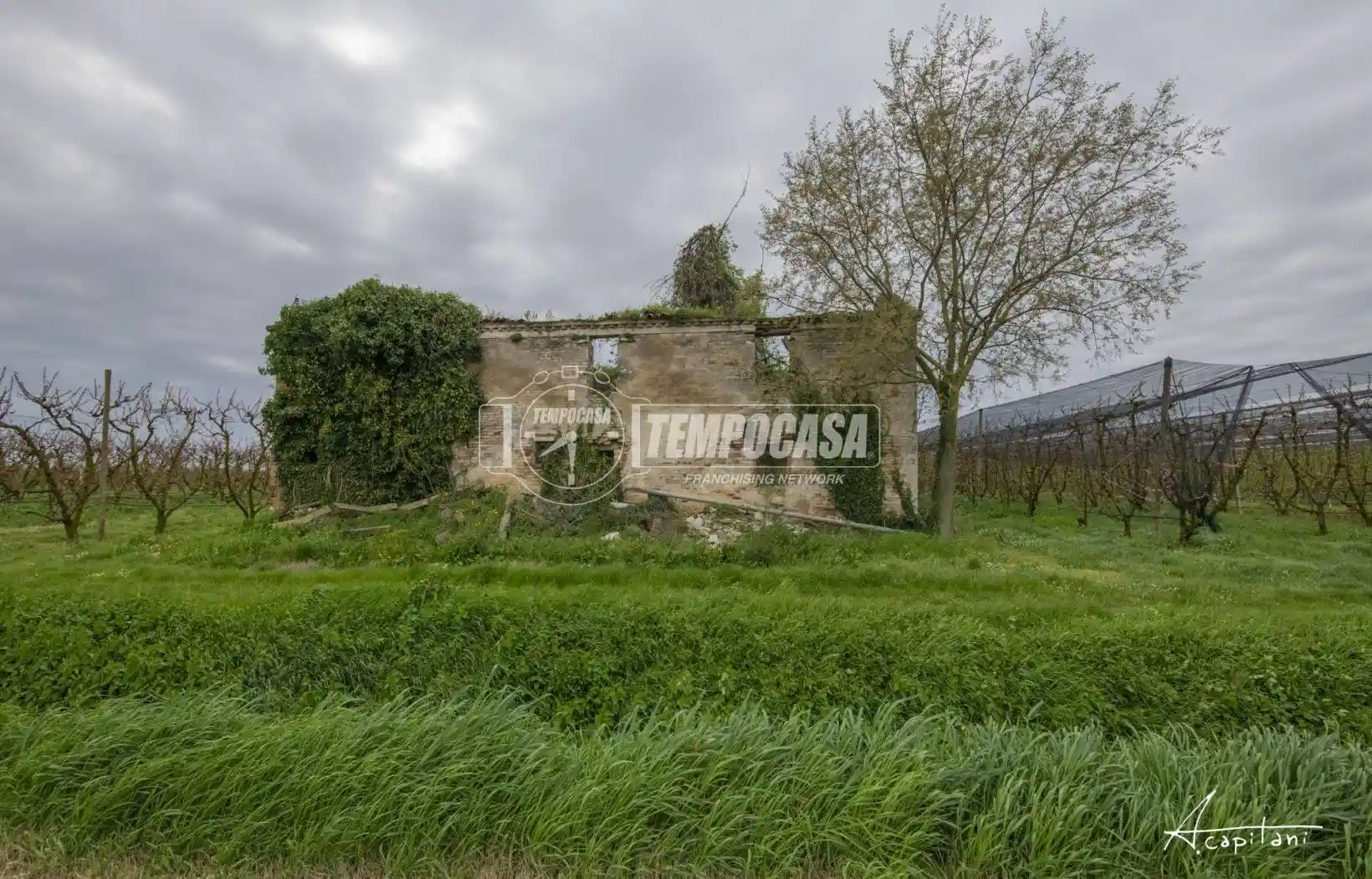 Rustico - Casale - foto 3