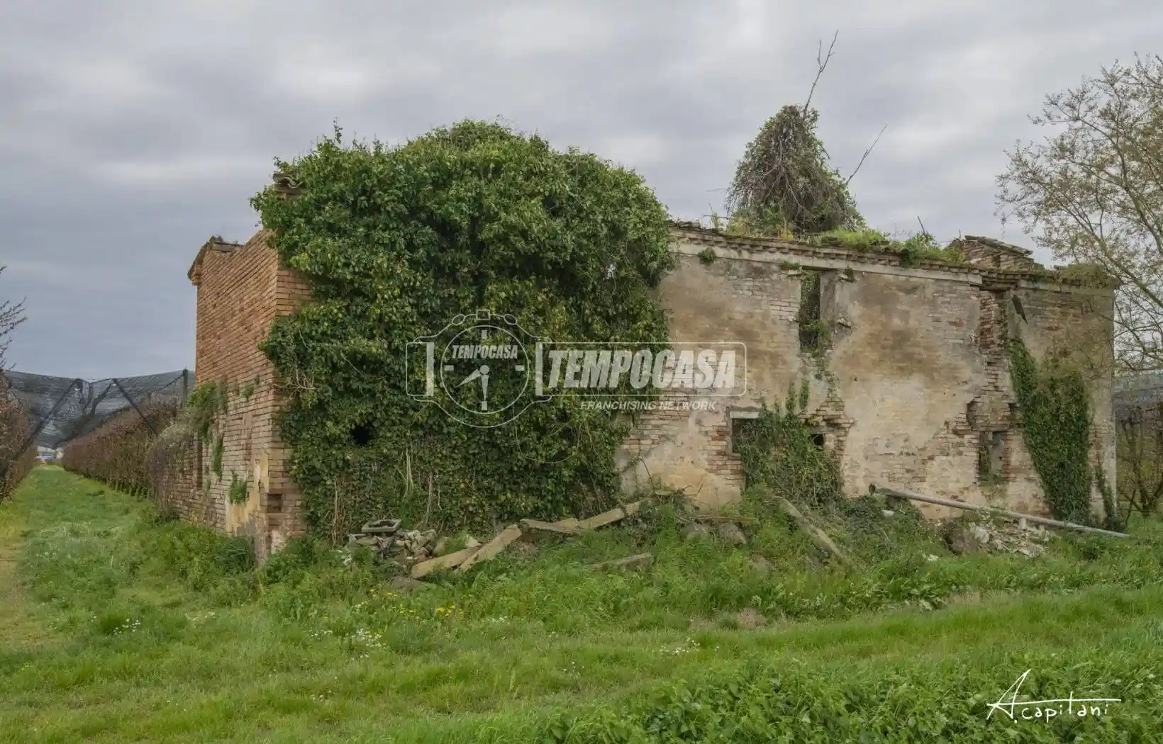 Rustico - Casale - foto 4