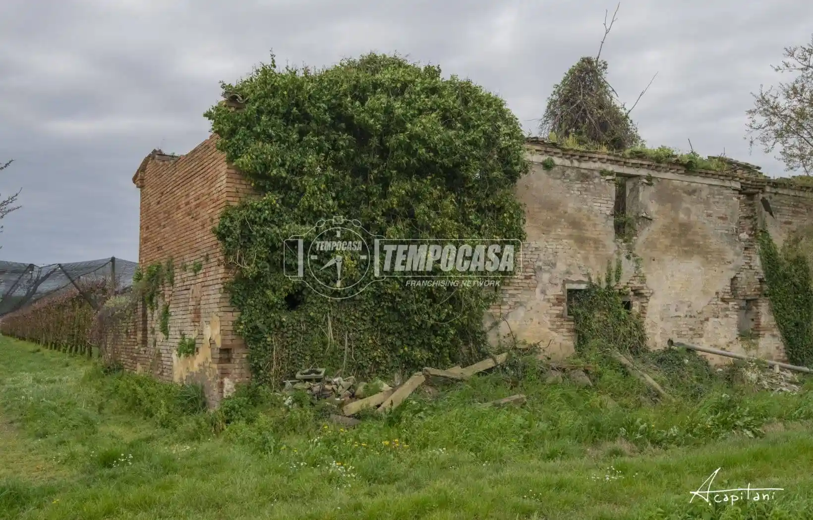 Rustico - Casale - foto 5