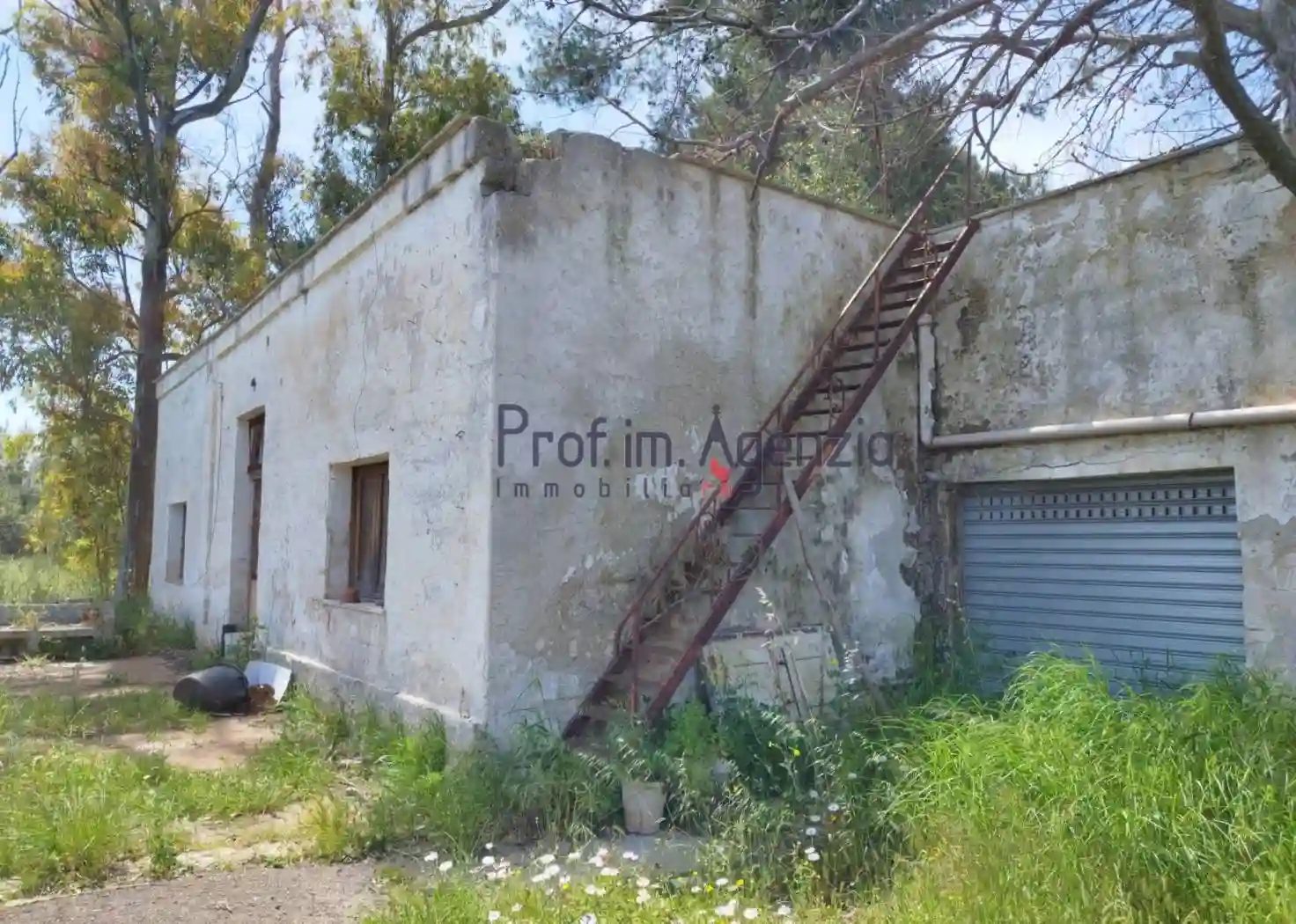 Rustico - Casale - foto 3