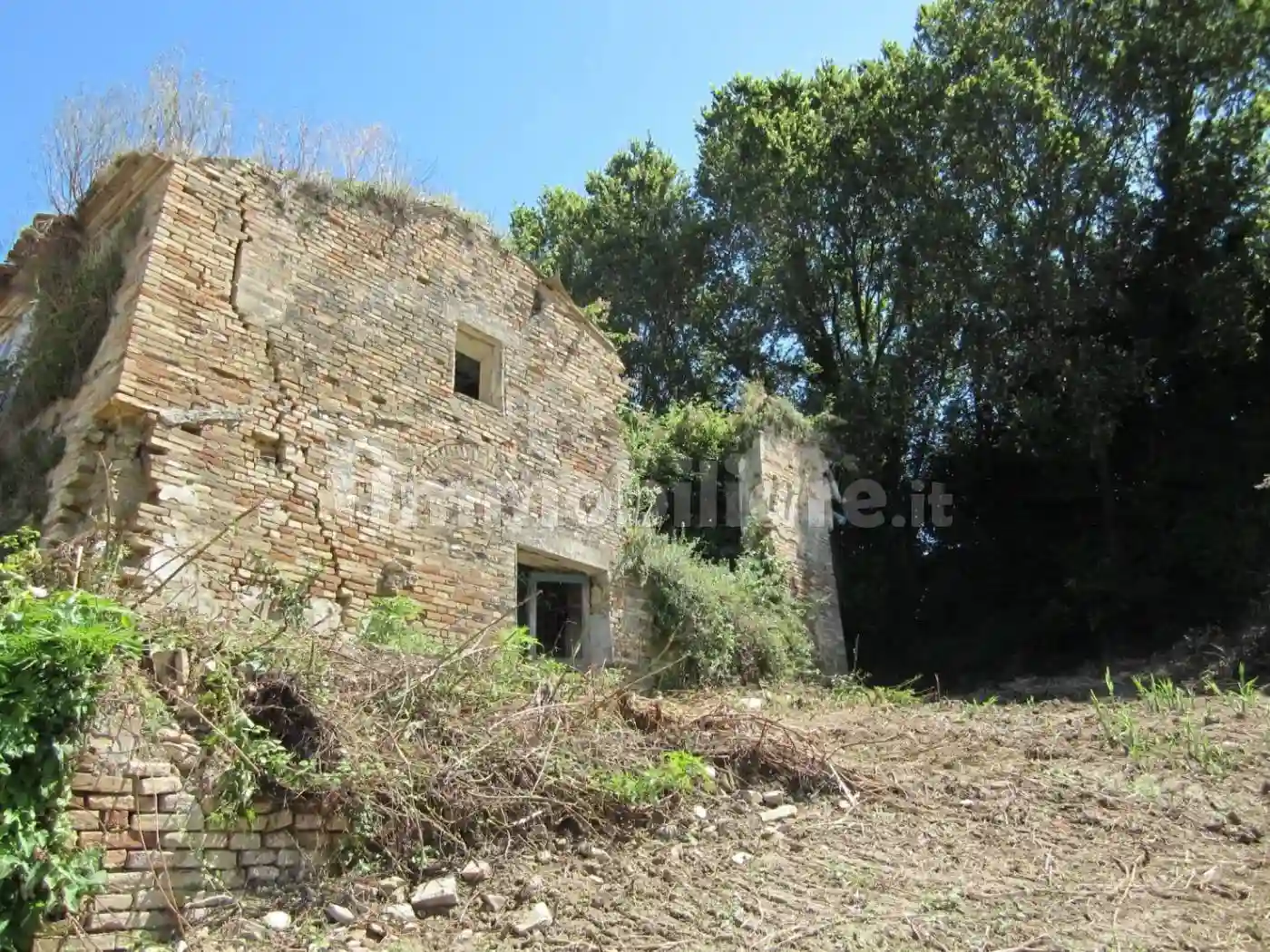 Rustico - Casale - foto 5