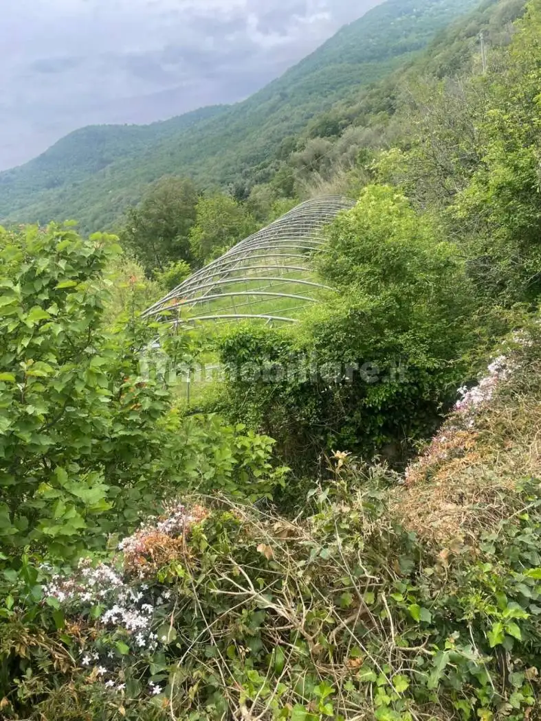 Terratetto unifamiliare via San Bernardo, Diano Evigno, Diano Arentino - foto 3