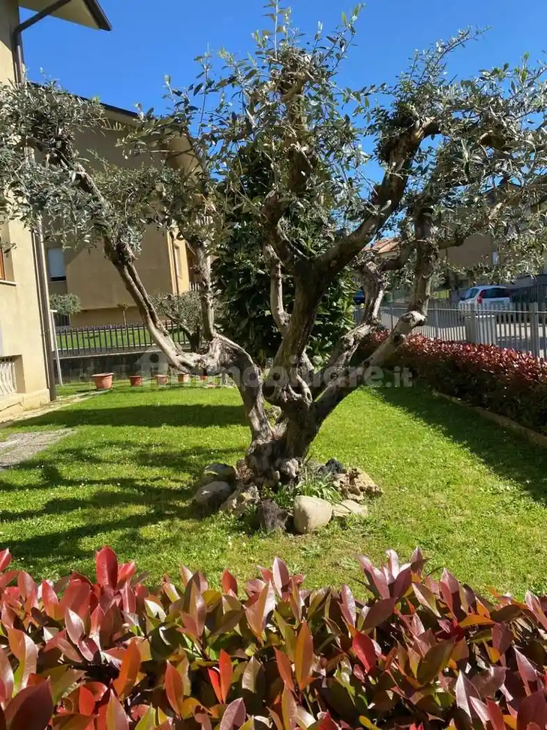 Appartamento in vendita a Città di Castello