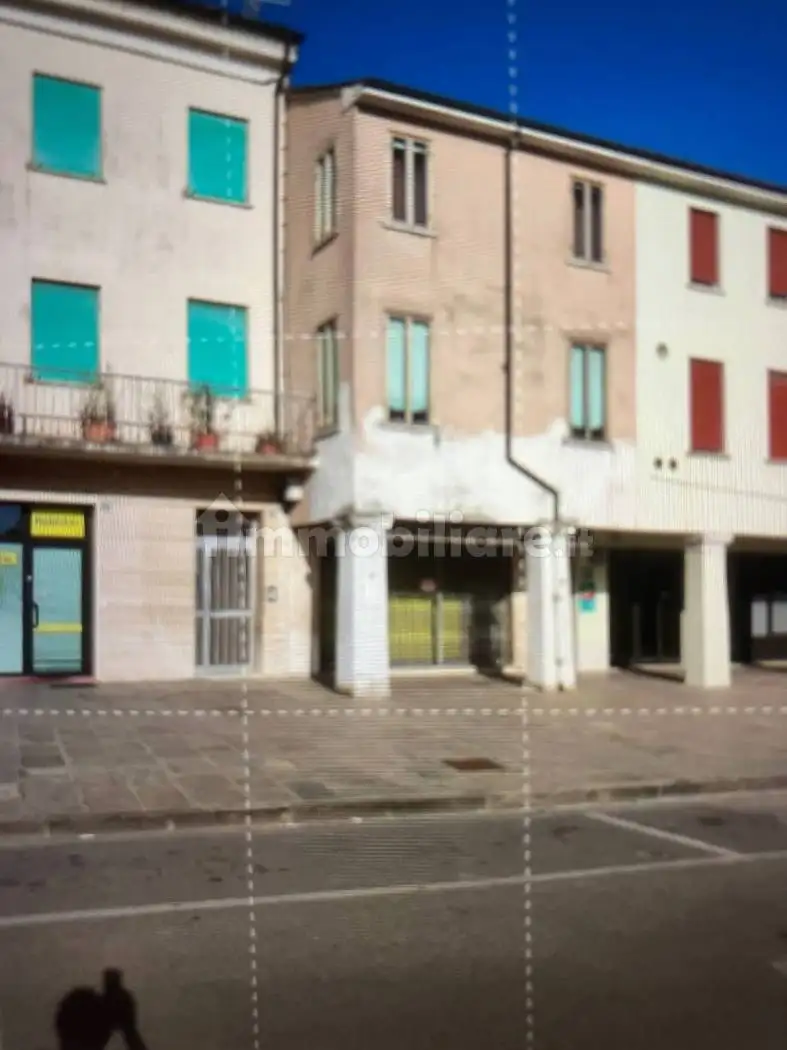 Casa indipendente in vendita a Trecenta