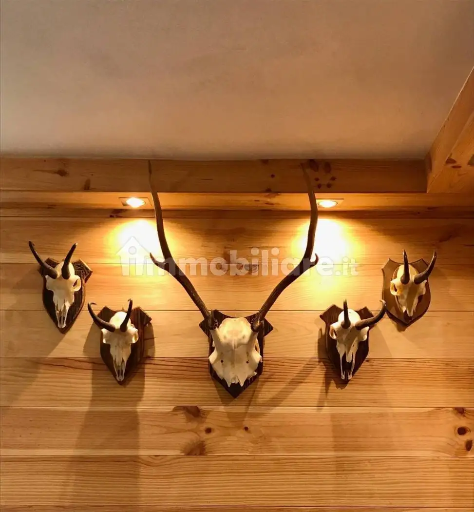 Villa unifamiliare via Monaci 12/C, Centro, Albosaggia - foto 4