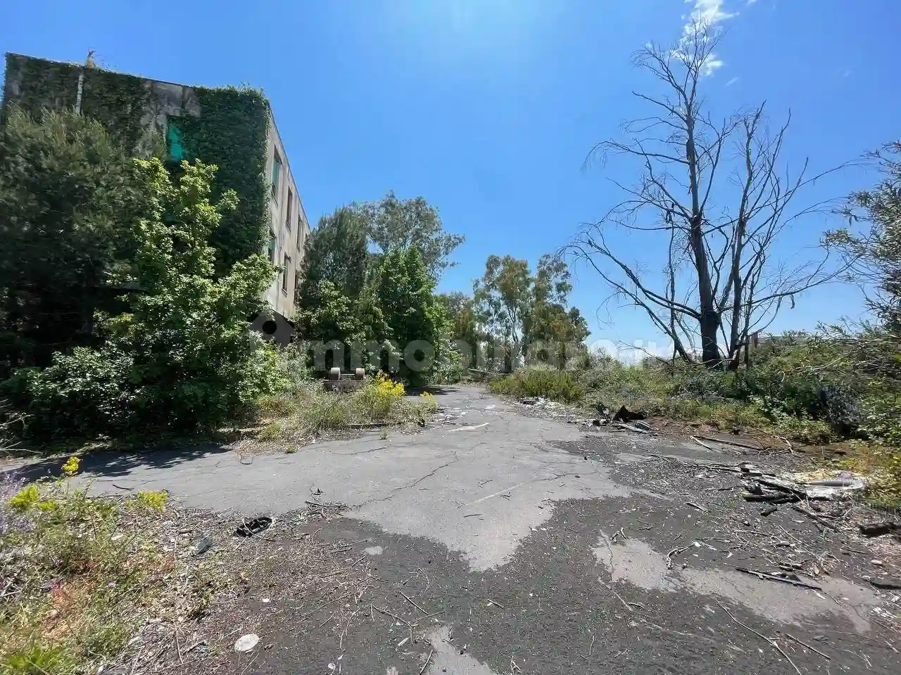 Palazzo - Edificio - foto 5